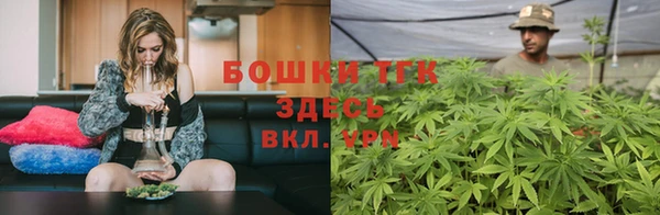 гашик Горняк