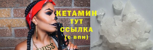 гашик Горняк