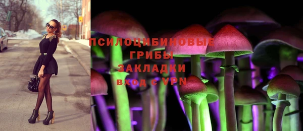 гашик Горняк