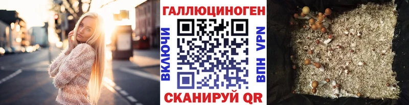 Галлюциногенные грибы Magic Shrooms  darknet наркотические препараты  Тамбов 