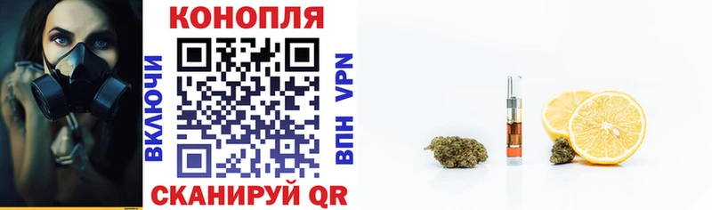 купить наркоту  Тамбов  Каннабис SATIVA & INDICA 